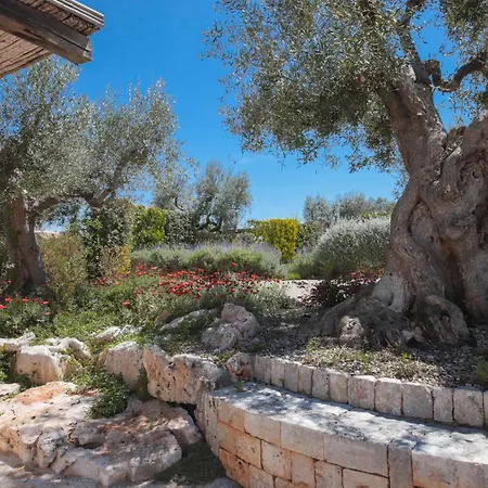 Trulli&dimore - Trulli Di Montaltino