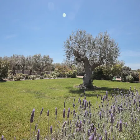 Td Trulli Di Montaltino With Stunning Huge Pool Сasa de vacaciones Polignano a Mare